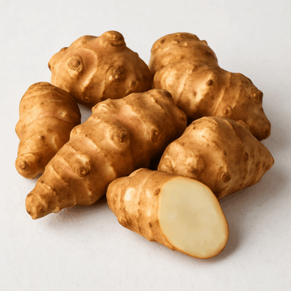 Jerusalem Artichoke Tubers